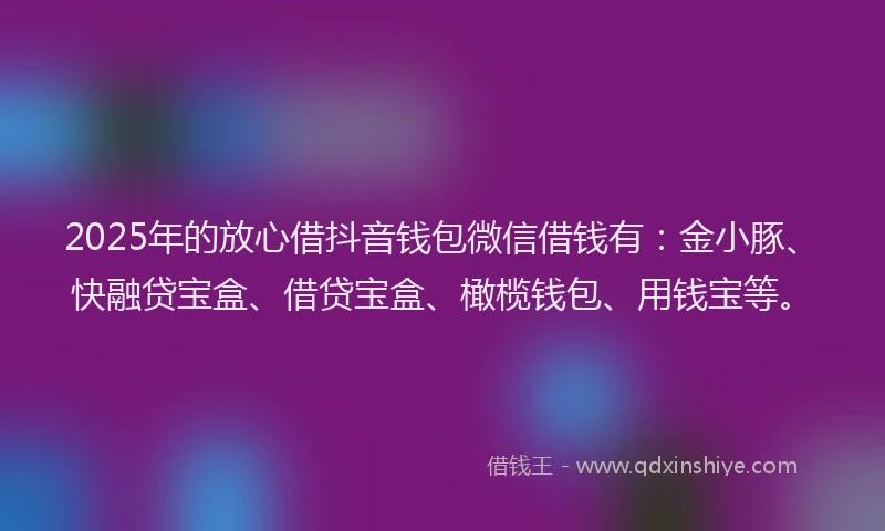2025年的放心借抖音钱包微信借钱有：金小豚、快融贷宝盒、借贷宝盒、橄榄钱包、用钱宝等。