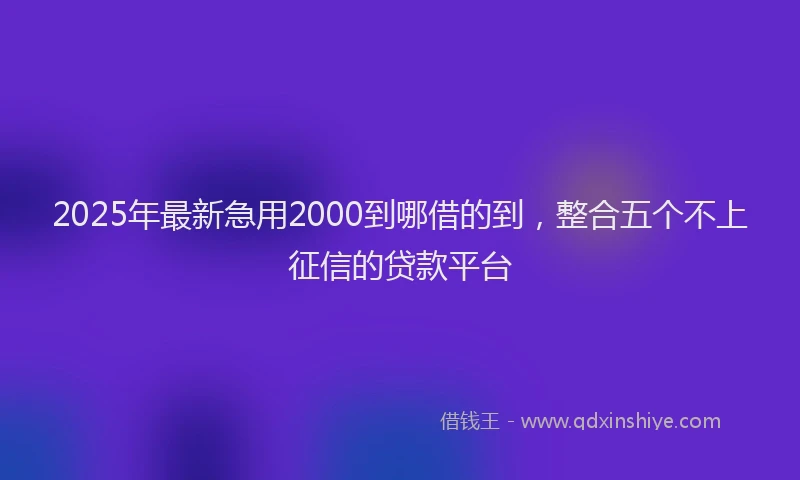 2025年最新急用2000到哪借的到，整合五个不上征信的贷款平台