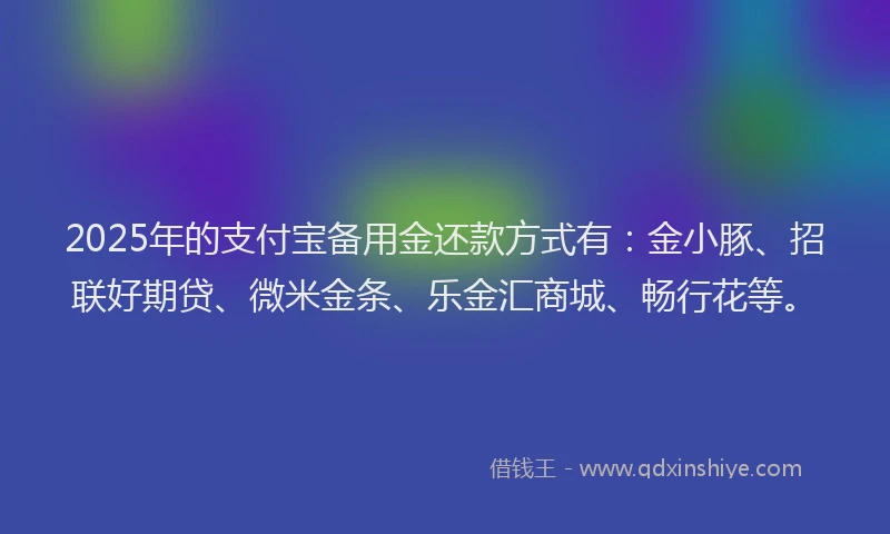 2025年的支付宝备用金还款方式有：金小豚、招联好期贷、微米金条、乐金汇商城、畅行花等。