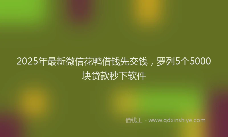 2025年最新微信花鸭借钱先交钱，罗列5个5000块贷款秒下软件