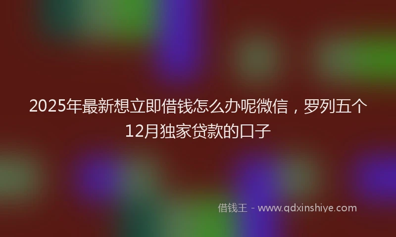 2025年最新想立即借钱怎么办呢微信，罗列五个12月独家贷款的口子