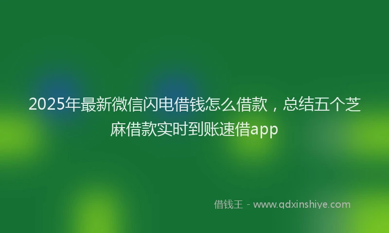 2025年最新微信闪电借钱怎么借款，总结五个芝麻借款实时到账速借app