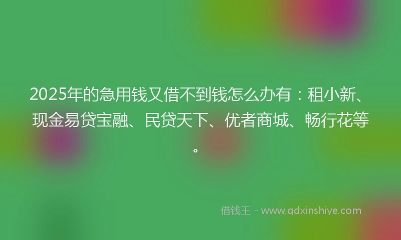 2025年的急用钱又借不到钱怎么办有：租小新、现金易贷宝融、民贷天下、优者商城、畅行花等。