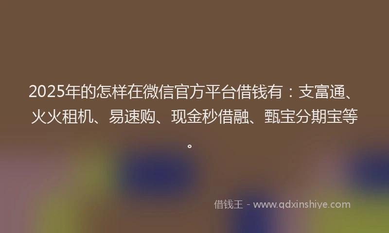 2025年的怎样在微信官方平台借钱有：支富通、火火租机、易速购、现金秒借融、甄宝分期宝等。