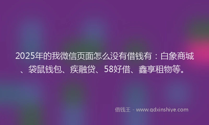 2025年的我微信页面怎么没有借钱有：白象商城、袋鼠钱包、疾融贷、58好借、鑫享租物等。