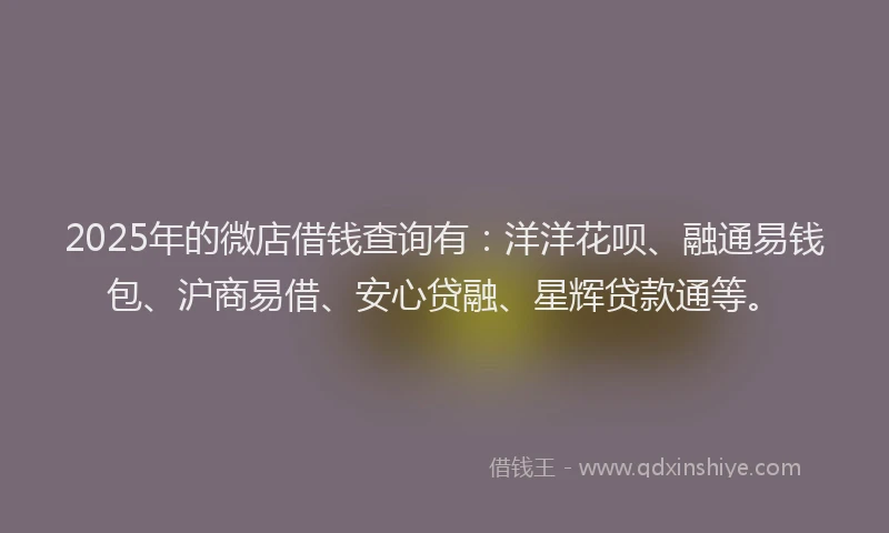 2025年的微店借钱查询有：洋洋花呗、融通易钱包、沪商易借、安心贷融、星辉贷款通等。