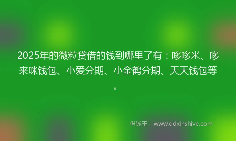 2025年的微粒贷借的钱到哪里了有：哆哆米、哆来咪钱包、小爱分期、小金鹤分期、天天钱包等。