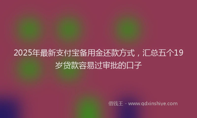 2025年最新支付宝备用金还款方式，汇总五个19岁贷款容易过审批的口子