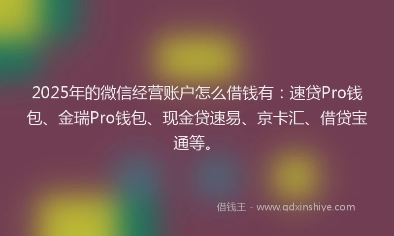 2025年的微信经营账户怎么借钱有：速贷Pro钱包、金瑞Pro钱包、现金贷速易、京卡汇、借贷宝通等。