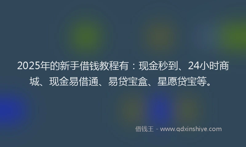 2025年的新手借钱教程有：现金秒到、24小时商城、现金易借通、易贷宝盒、星愿贷宝等。