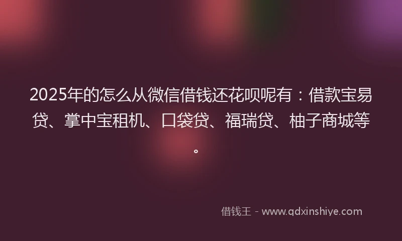 2025年的怎么从微信借钱还花呗呢有：借款宝易贷、掌中宝租机、口袋贷、福瑞贷、柚子商城等。
