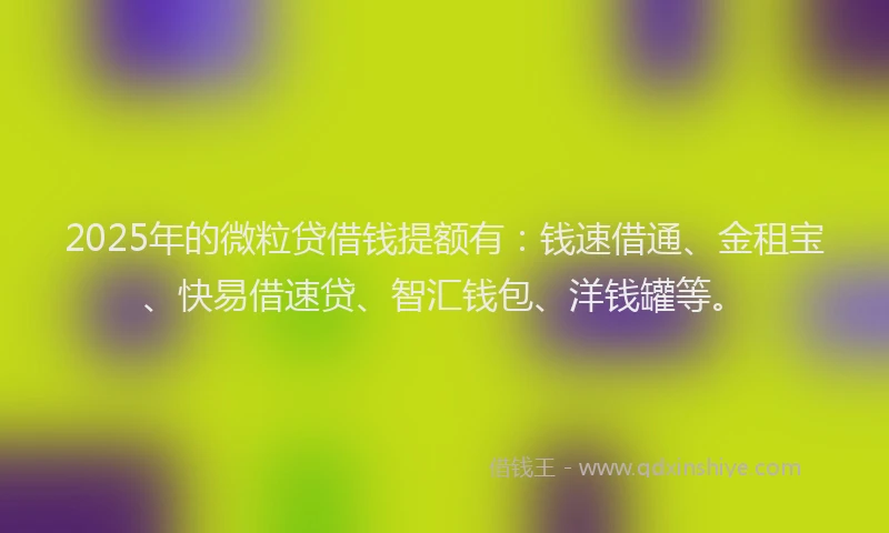 2025年的微粒贷借钱提额有：钱速借通、金租宝、快易借速贷、智汇钱包、洋钱罐等。