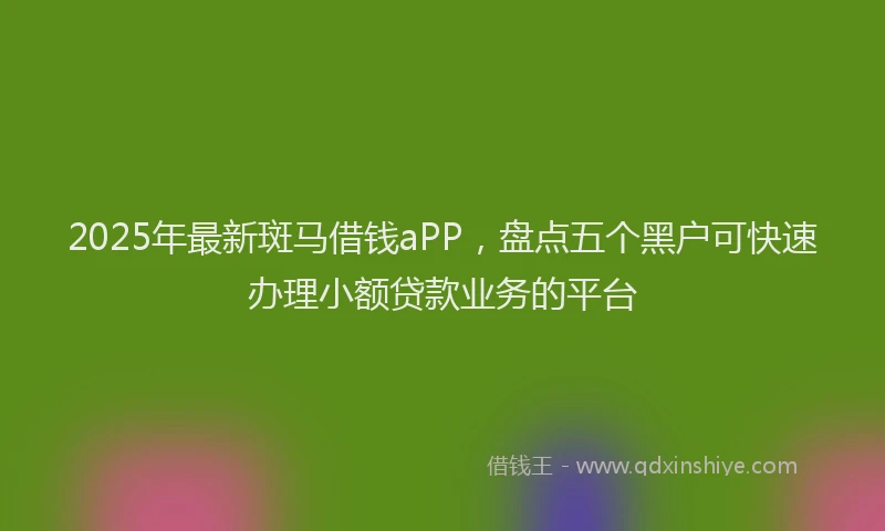 2025年最新斑马借钱aPP，盘点五个黑户可快速办理小额贷款业务的平台