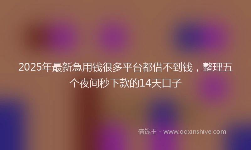 2025年最新急用钱很多平台都借不到钱，整理五个夜间秒下款的14天口子