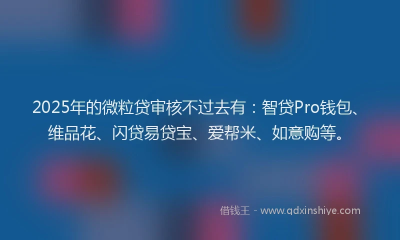 2025年的微粒贷审核不过去有：智贷Pro钱包、维品花、闪贷易贷宝、爱帮米、如意购等。