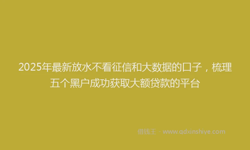 2025年最新放水不看征信和大数据的口子，梳理五个黑户成功获取大额贷款的平台