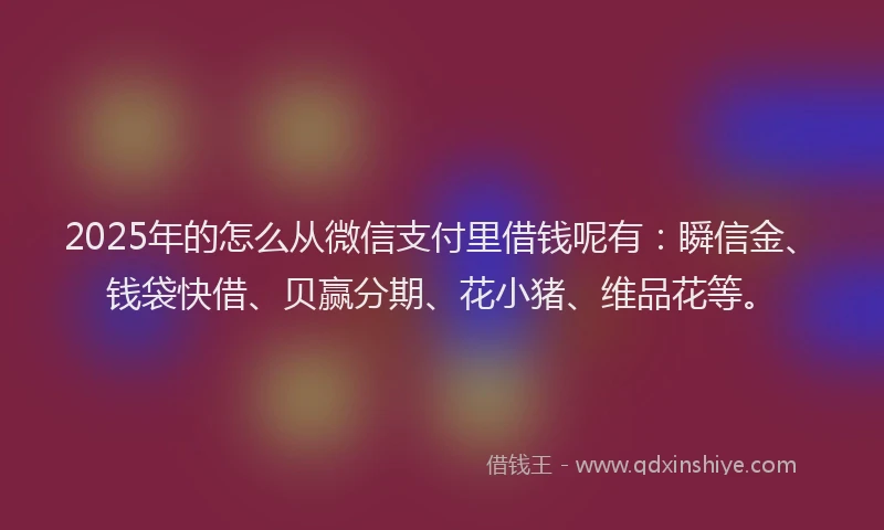 2025年的怎么从微信支付里借钱呢有：瞬信金、钱袋快借、贝赢分期、花小猪、维品花等。