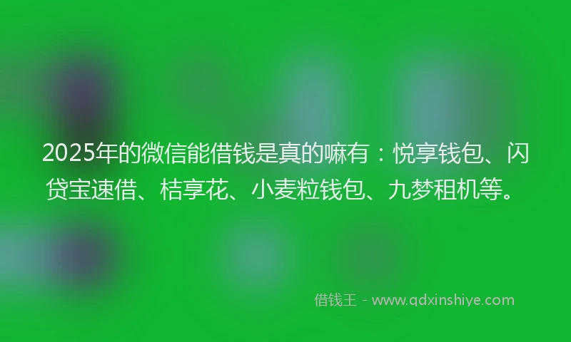 2025年的微信能借钱是真的嘛有：悦享钱包、闪贷宝速借、桔享花、小麦粒钱包、九梦租机等。