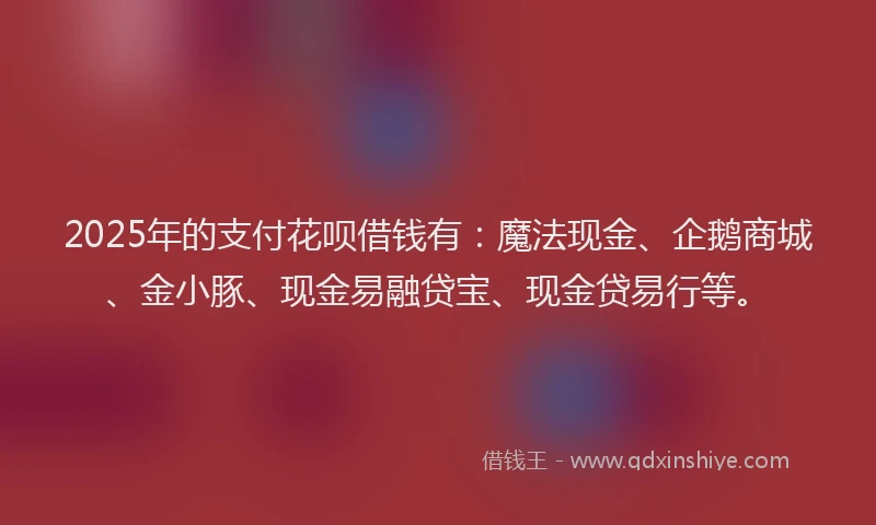 2025年的支付花呗借钱有：魔法现金、企鹅商城、金小豚、现金易融贷宝、现金贷易行等。