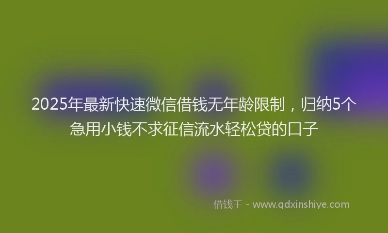 2025年最新快速微信借钱无年龄限制，归纳5个急用小钱不求征信流水轻松贷的口子
