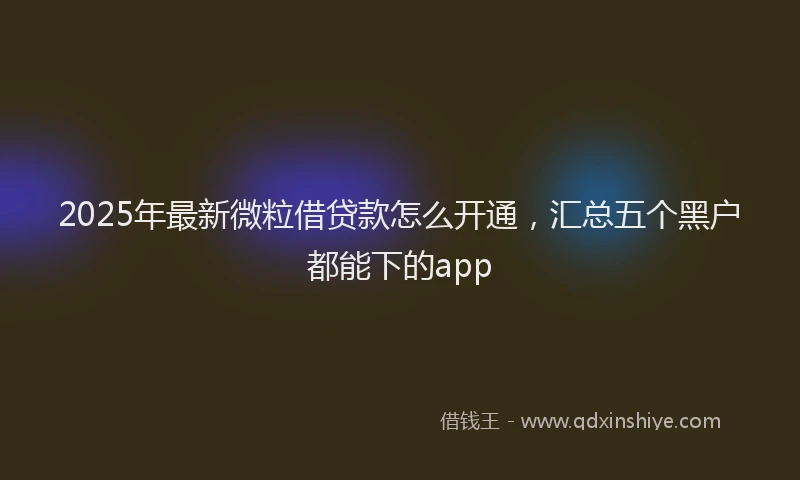 2025年最新微粒借贷款怎么开通，汇总五个黑户都能下的app
