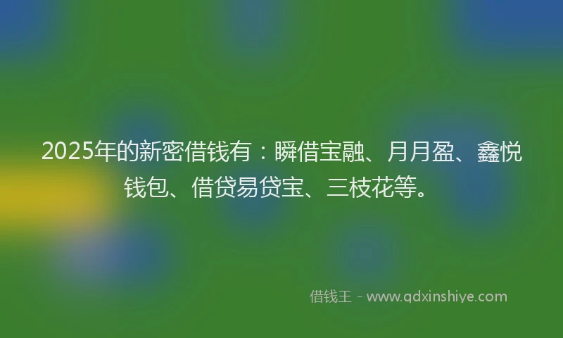 2025年的新密借钱有：瞬借宝融、月月盈、鑫悦钱包、借贷易贷宝、三枝花等。