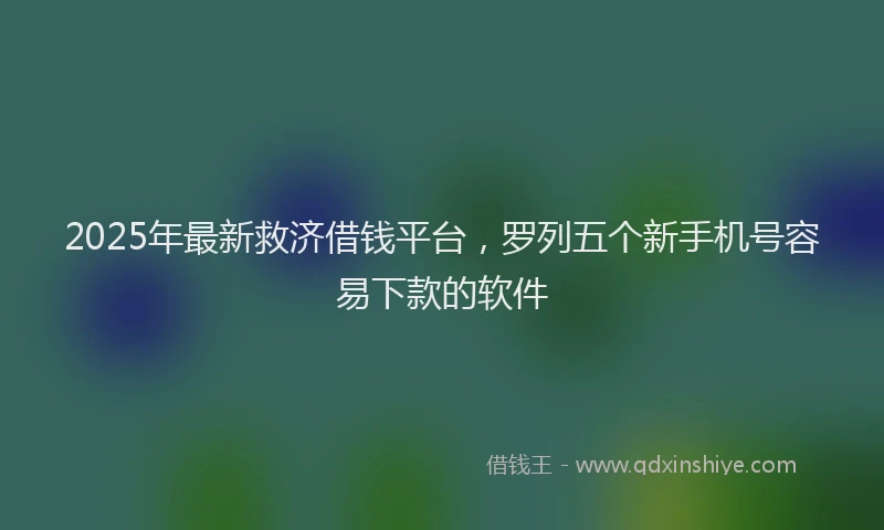 2025年最新救济借钱平台，罗列五个新手机号容易下款的软件