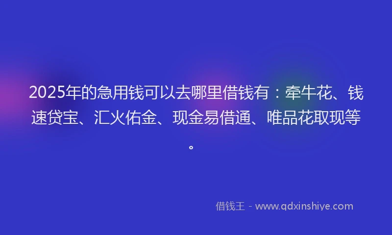 2025年的急用钱可以去哪里借钱有：牵牛花、钱速贷宝、汇火佑金、现金易借通、唯品花取现等。