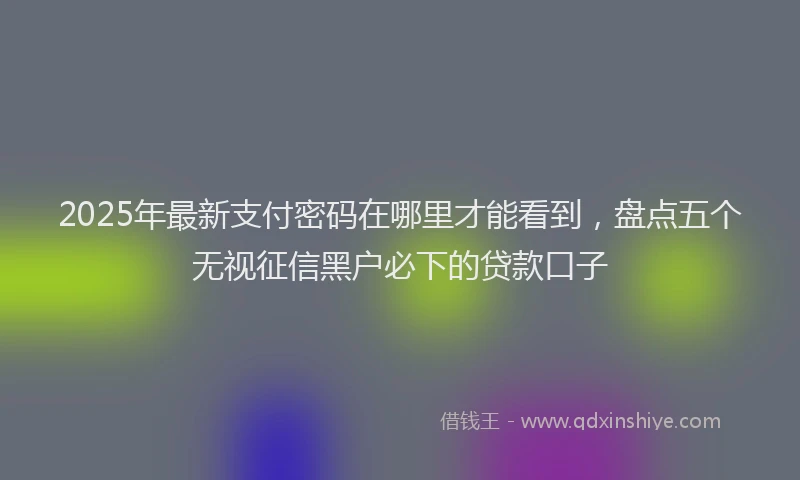 2025年最新支付密码在哪里才能看到，盘点五个无视征信黑户必下的贷款口子