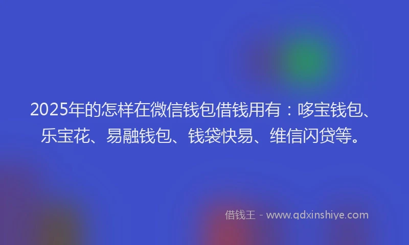 2025年的怎样在微信钱包借钱用有：哆宝钱包、乐宝花、易融钱包、钱袋快易、维信闪贷等。