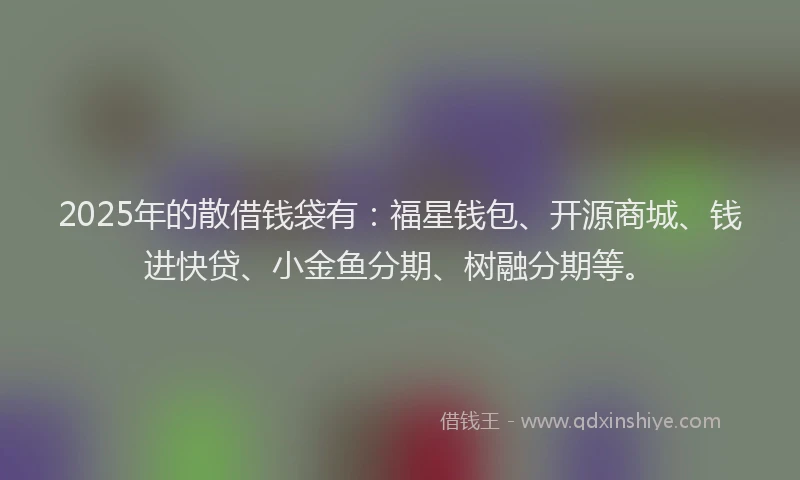 2025年的散借钱袋有：福星钱包、开源商城、钱进快贷、小金鱼分期、树融分期等。