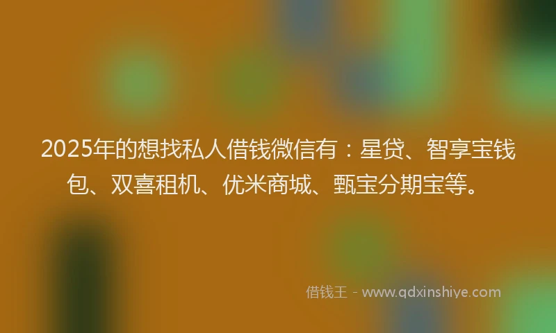 2025年的想找私人借钱微信有：星贷、智享宝钱包、双喜租机、优米商城、甄宝分期宝等。