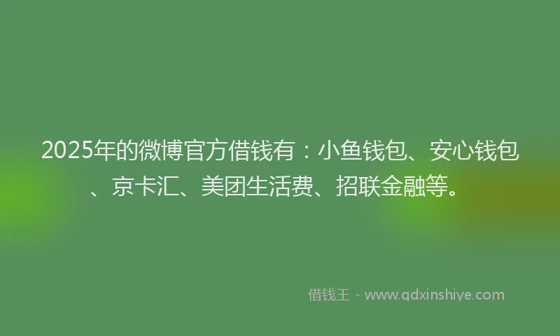 2025年的微博官方借钱有：小鱼钱包、安心钱包、京卡汇、美团生活费、招联金融等。