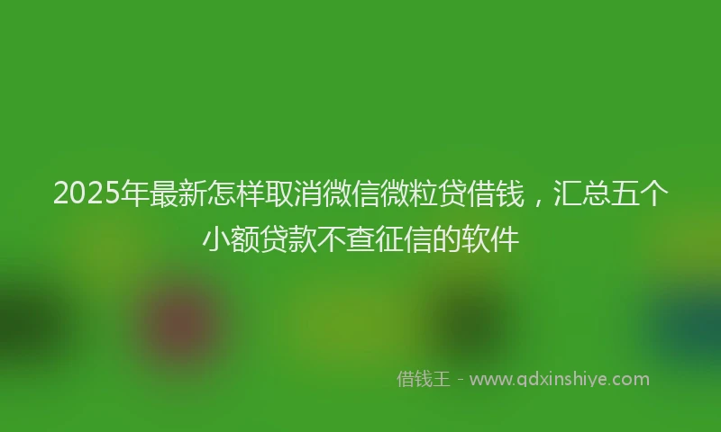 2025年最新怎样取消微信微粒贷借钱，汇总五个小额贷款不查征信的软件