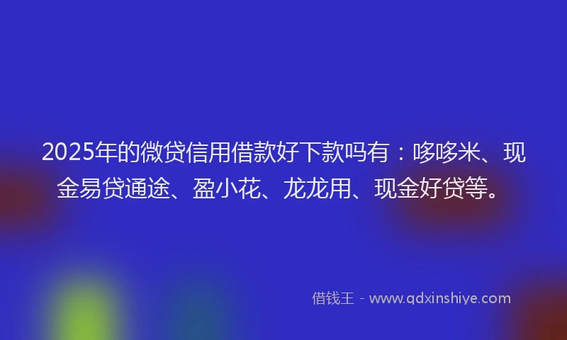 2025年的微贷信用借款好下款吗有：哆哆米、现金易贷通途、盈小花、龙龙用、现金好贷等。