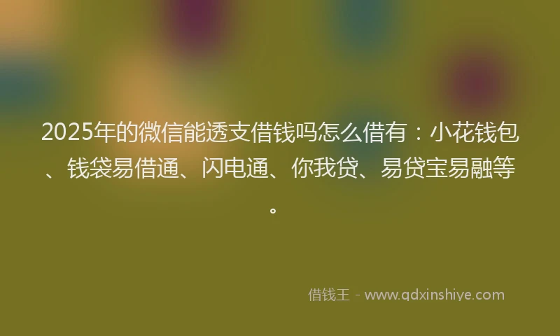 2025年的微信能透支借钱吗怎么借有：小花钱包、钱袋易借通、闪电通、你我贷、易贷宝易融等。