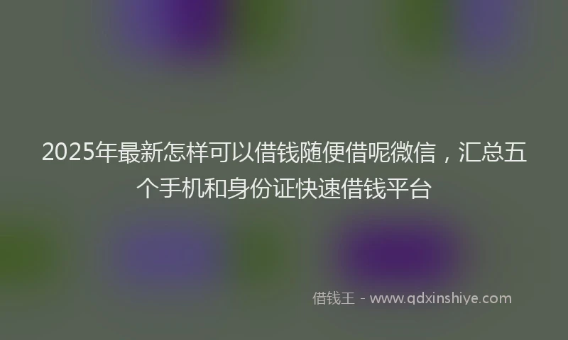 2025年最新怎样可以借钱随便借呢微信，汇总五个手机和身份证快速借钱平台