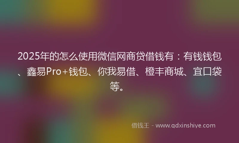 2025年的怎么使用微信网商贷借钱有：有钱钱包、鑫易Pro+钱包、你我易借、橙丰商城、宜口袋等。