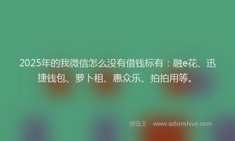 2025年的我微信怎么没有借钱标有：融e花、迅捷钱包、萝卜租、惠众乐、拍拍用等。