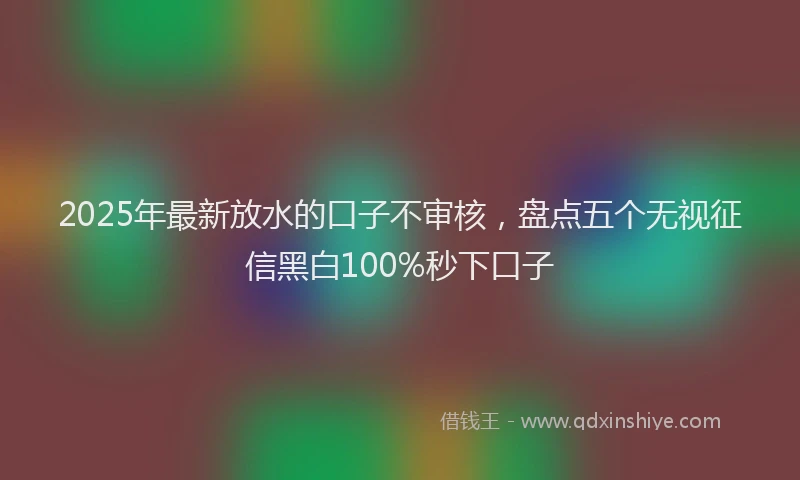 2025年最新放水的口子不审核，盘点五个无视征信黑白100%秒下口子