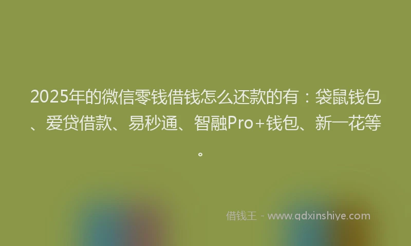 2025年的微信零钱借钱怎么还款的有：袋鼠钱包、爱贷借款、易秒通、智融Pro+钱包、新一花等。