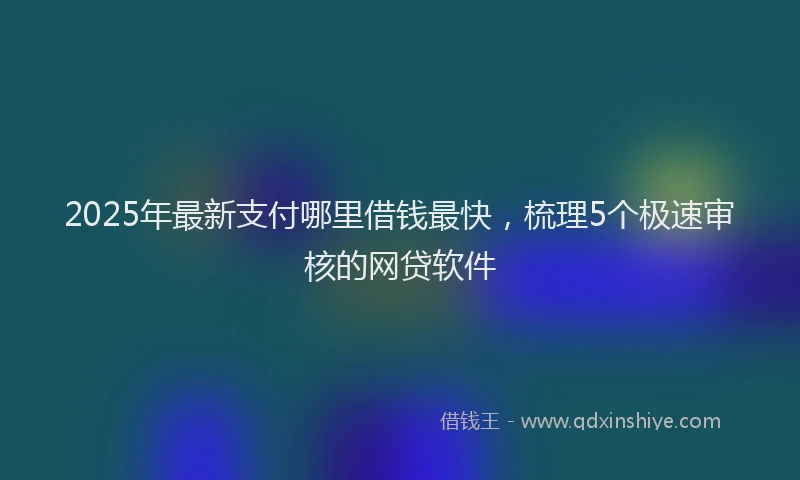 2025年最新支付哪里借钱最快，梳理5个极速审核的网贷软件