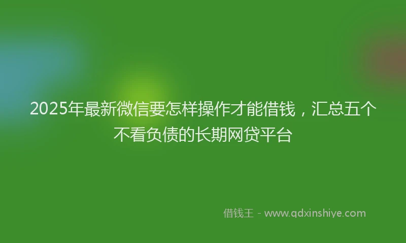 2025年最新微信要怎样操作才能借钱，汇总五个不看负债的长期网贷平台