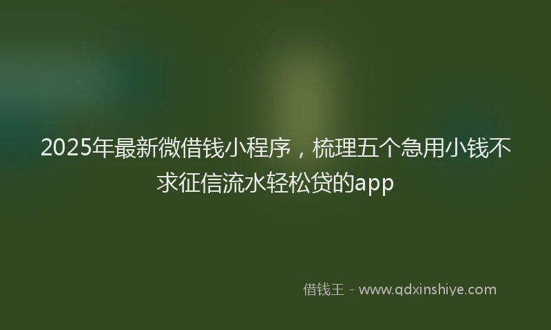 2025年最新微借钱小程序，梳理五个急用小钱不求征信流水轻松贷的app