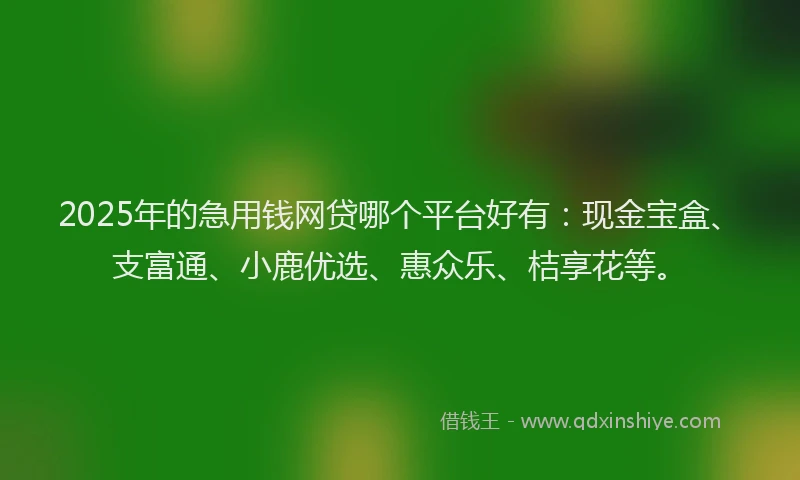 2025年的急用钱网贷哪个平台好有：现金宝盒、支富通、小鹿优选、惠众乐、桔享花等。