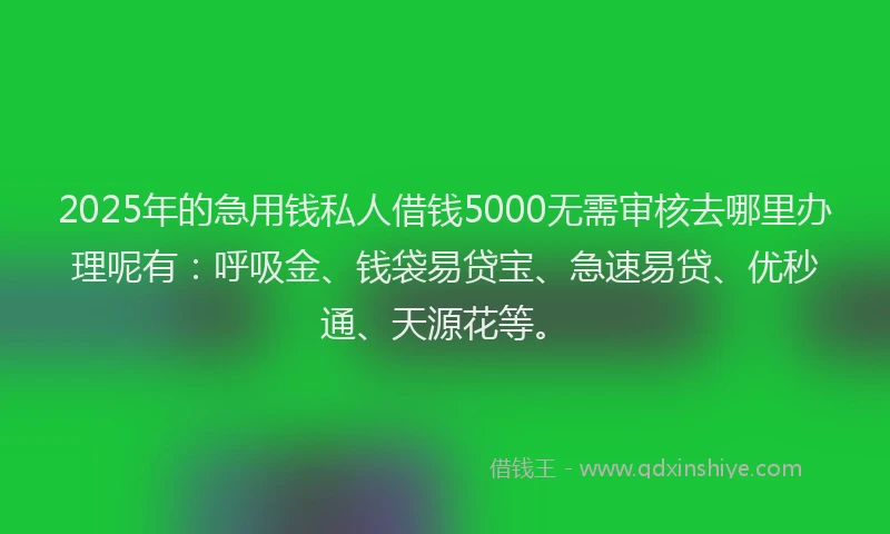 2025年的急用钱私人借钱5000无需审核去哪里办理呢有：呼吸金、钱袋易贷宝、急速易贷、优秒通、天源花等。