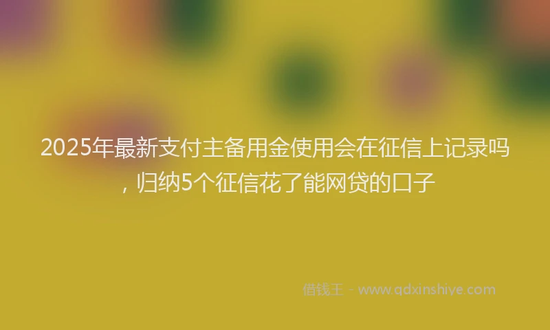 2025年最新支付主备用金使用会在征信上记录吗，归纳5个征信花了能网贷的口子
