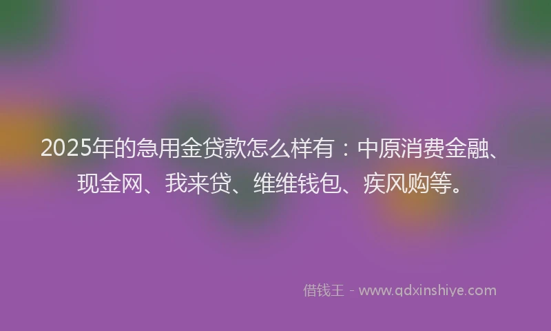 2025年的急用金贷款怎么样有：中原消费金融、现金网、我来贷、维维钱包、疾风购等。