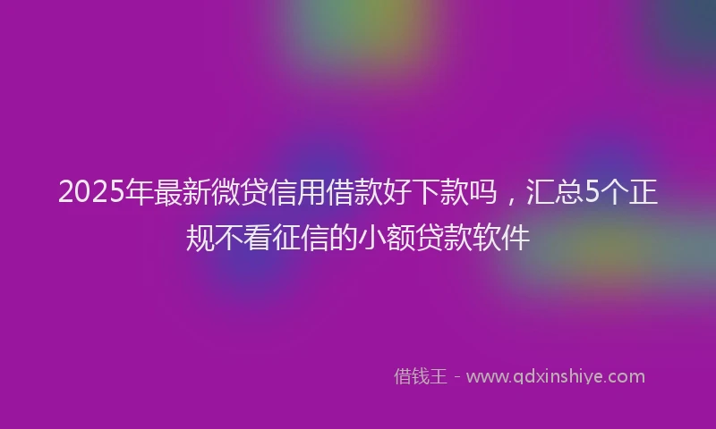 2025年最新微贷信用借款好下款吗，汇总5个正规不看征信的小额贷款软件