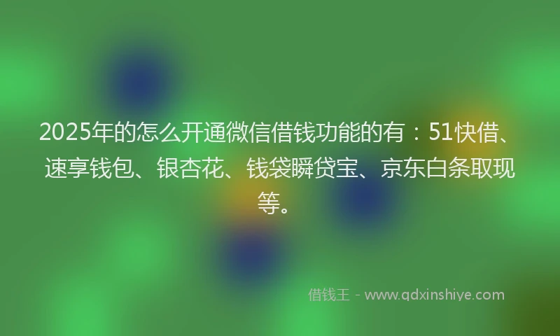 2025年的怎么开通微信借钱功能的有：51快借、速享钱包、银杏花、钱袋瞬贷宝、京东白条取现等。